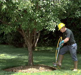 Soil Injecting Using Less Water for Treatment of Trees and Shrubs ...